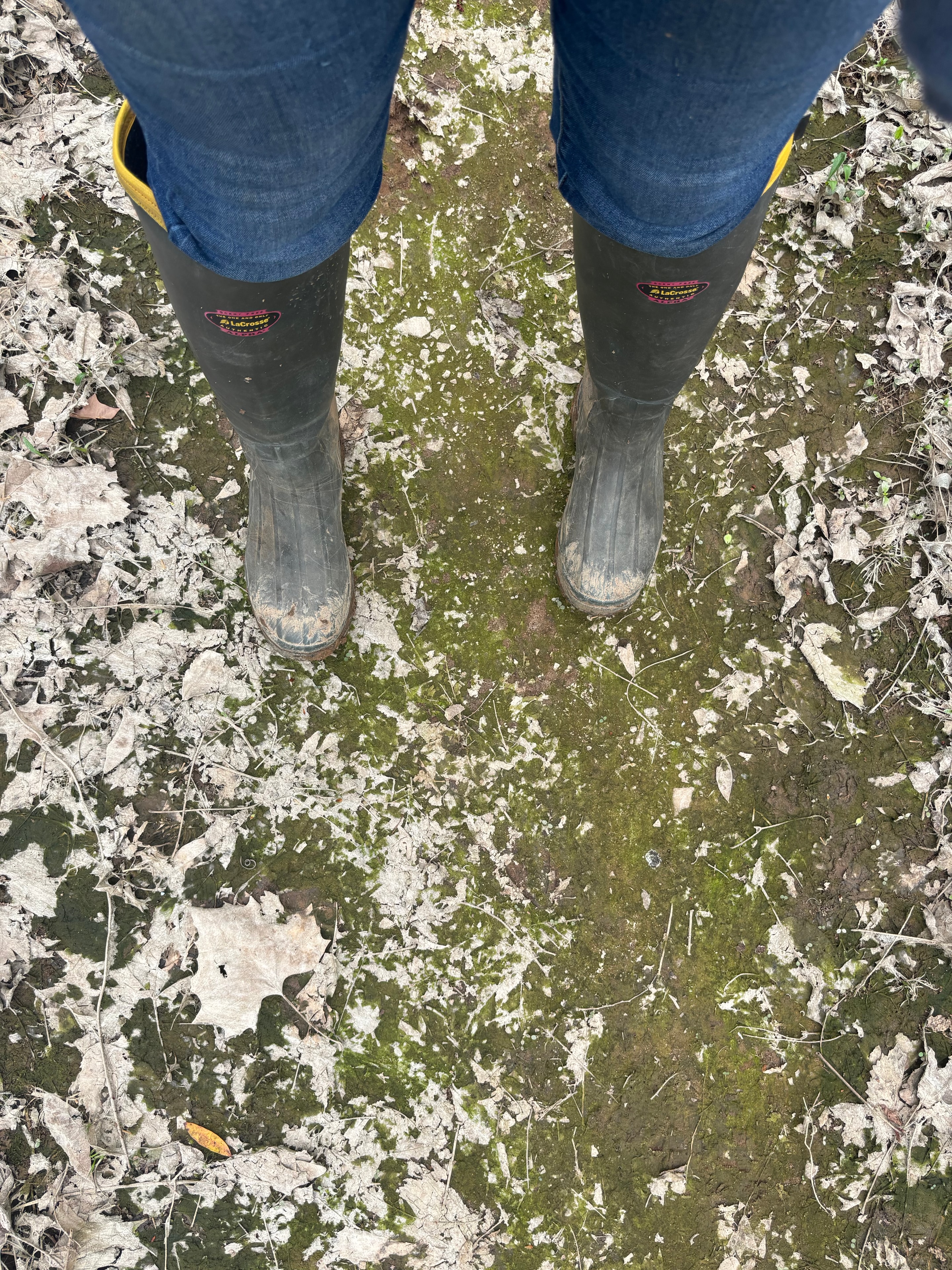 Conservation fieldwork on a working landscape